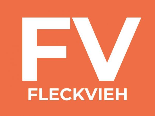 Fleckvieh