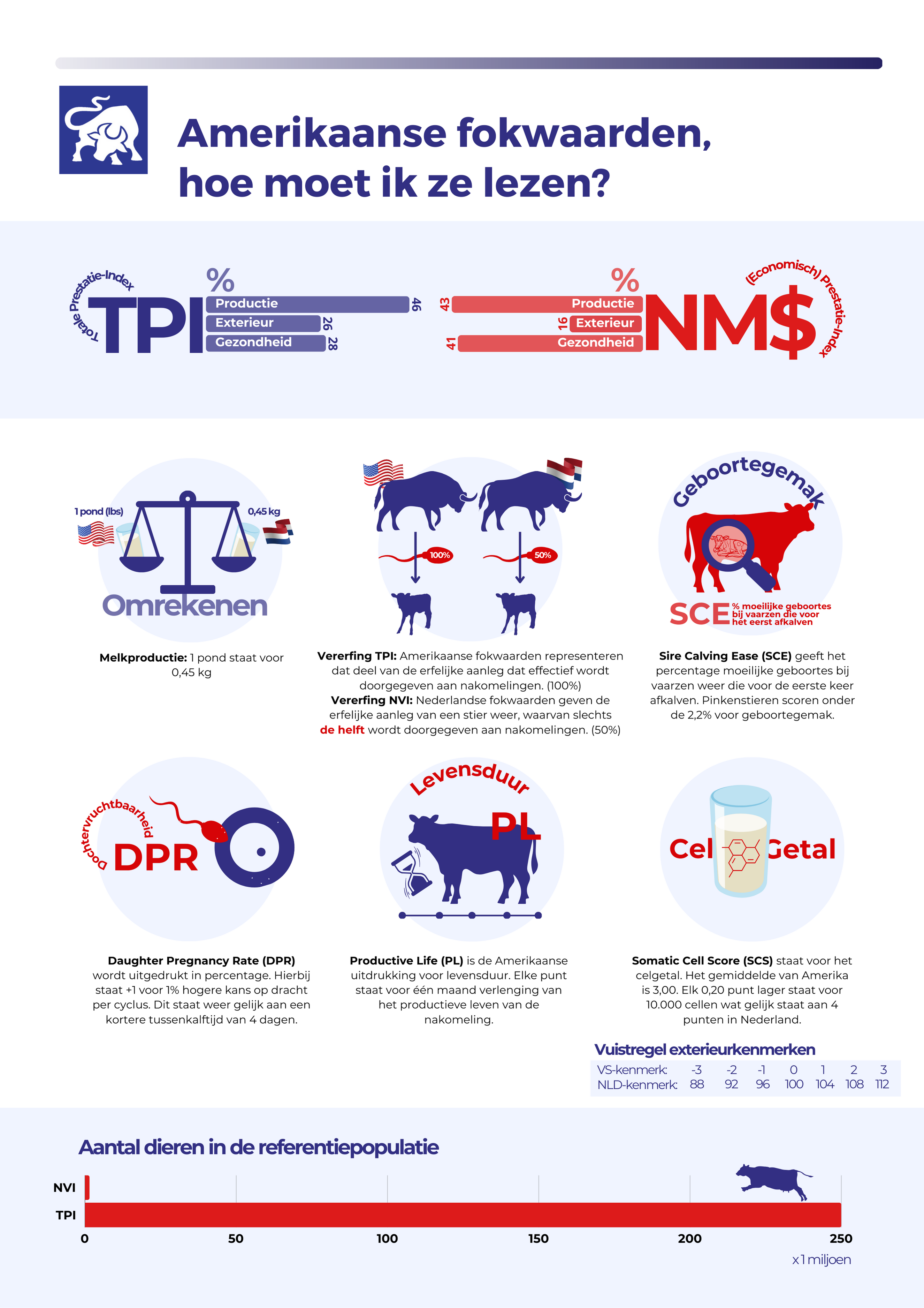 Een infographic met uitleg over Amerikaanse fokwaarden (TPI)