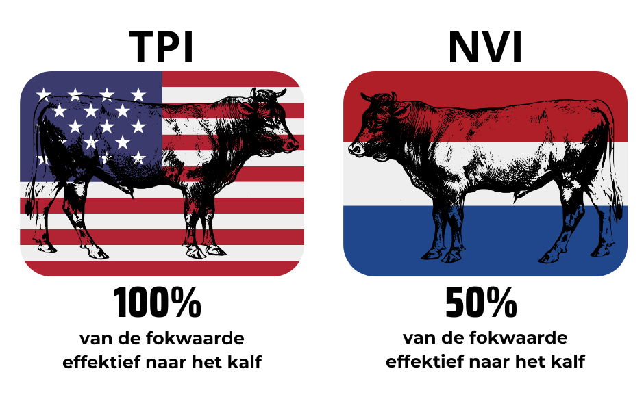 Voorbeeld van het percentage meerekenen van de stier eigenschappen